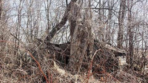 April 2015 - Farm-House42.jpg