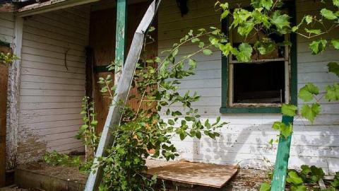 July 30th, 2014 - Sarnia-Rd-House,-Private-Drive19.jpg