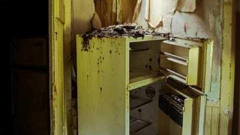 July 30th, 2014 - Sarnia-Rd-House,-Private-Drive20.jpg