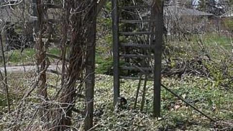 Waterfront  - Long-forgotten-beauty40.jpg