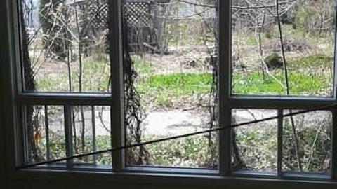 Waterfront  - Long-forgotten-beauty9.jpg