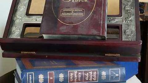 Shalom 2015 - DSC08768.jpg