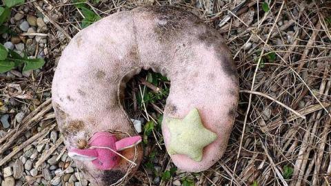 Shalom 2015 - DSC08826.jpg