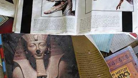 Shalom 2015 - DSC08850.jpg