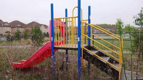 Shalom 2015 - DSC08864.jpg