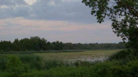 Vroom Vroom - Vroomanton-(ghost-town)2.jpg