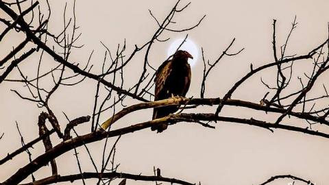 Set in Stone - IMG_0836-Edit-2.jpg