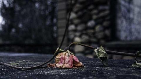 Set in Stone - IMG_0866.jpg