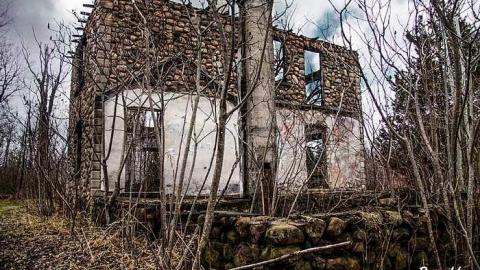 Photo from Set in Stone