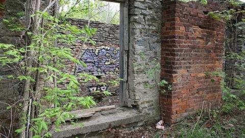 05/11/15 - Hyde Mill - Hyde-Mill-Ruins-(Streetsville)101.jpg