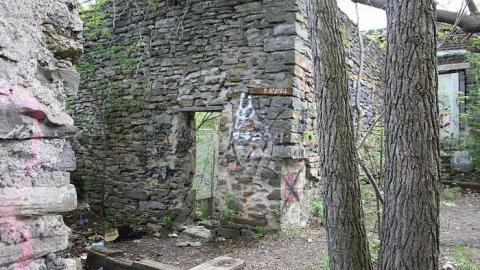 05/11/15 - Hyde Mill - Hyde-Mill-Ruins-(Streetsville)90.jpg