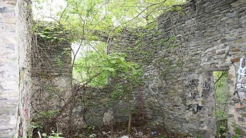 05/11/15 - Hyde Mill - Hyde-Mill-Ruins-(Streetsville)103.jpg