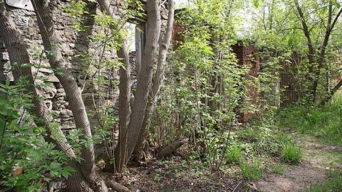 05/11/15 - Hyde Mill - Hyde-Mill-Ruins-(Streetsville)107.jpg