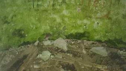 Photo from May 2015: tons of graffiti :(