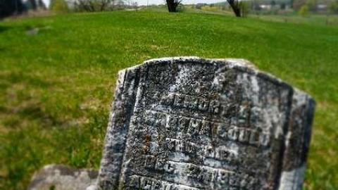 Photo from New Camera Pics