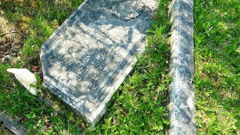 Photo from New Camera Pics