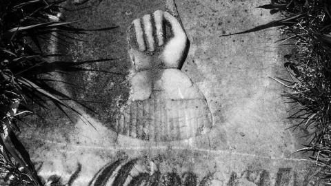 Photo from New Camera Pics