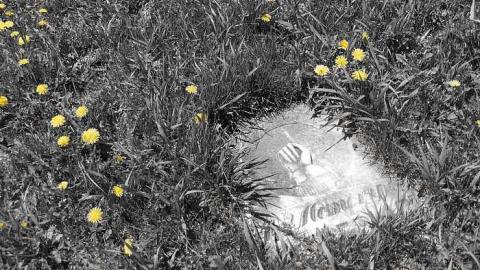 New Camera Pics - Old-Presbyterian-Con.-2-Cemetery20.jpg