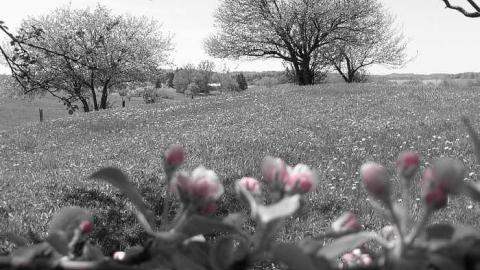 New Camera Pics - Old-Presbyterian-Con.-2-Cemetery22.jpg