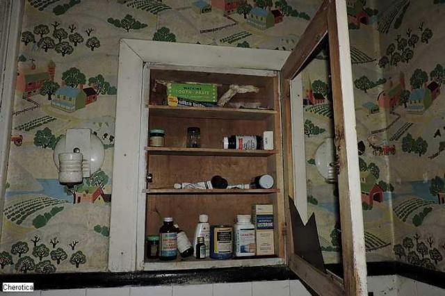 Greer House - Ottawa, Ontario