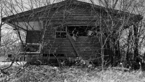 Halls Road Horror photo 3