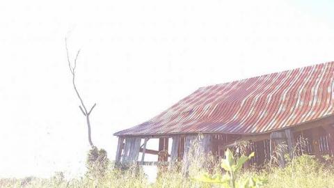 Photo from Gone by now