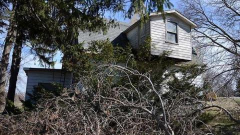 Old School Creeps - zyimage.jpg