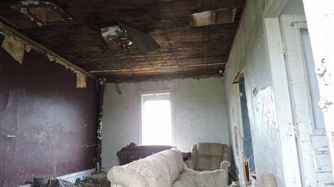 Free Range Cattle House - Cattle-Home13.jpg