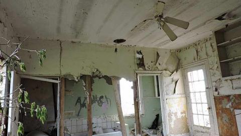 Free Range Cattle House - Cattle-Home1.jpg