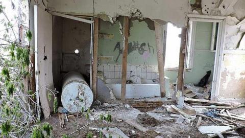 Cattle Home - Pontiac, Quebec