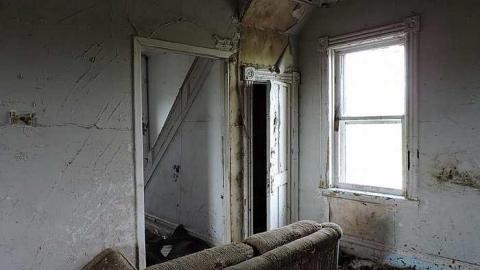 Free Range Cattle House - Cattle-Home9.jpg