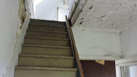 Free Range Cattle House - Cattle-Home5.jpg