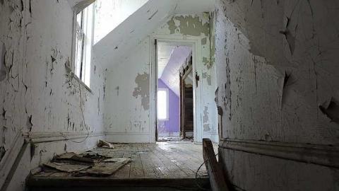 Free Range Cattle House - Cattle-Home10.jpg