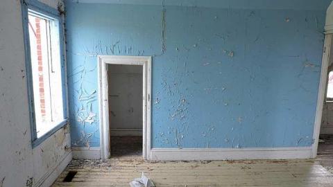 Free Range Cattle House - Cattle-Home11.jpg