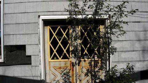 2015-04-18 - Beaver-Valley-Garden-Centre13.jpg