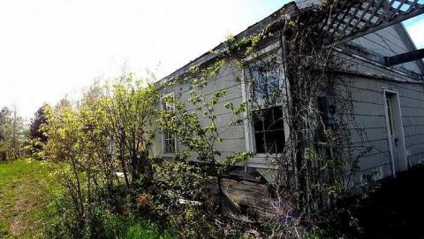 2015-04-18 - Beaver-Valley-Garden-Centre5.jpg