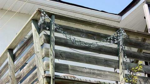 May 2015 - Sunshine-Cafe15.jpg