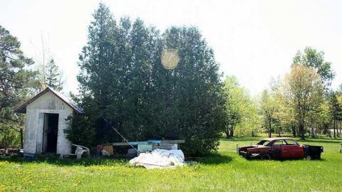 Sunshine Cafe - Horton, Ontario