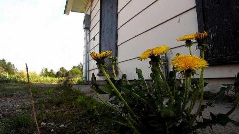 2015-04-18 - Old-Gas-Station6.jpg