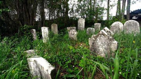 Photo from 2015-04-18