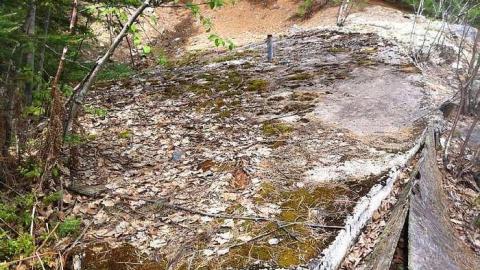 Webbwood Gold Mine (Shakesphere) cover photo