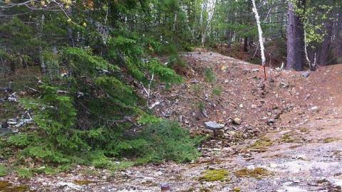 Webbwood Mine - Webbwood-Gold-Mine-(Shakesphere)2.jpg