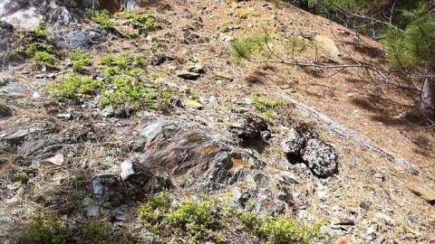 Webbwood Mine - Webbwood-Gold-Mine-(Shakesphere)3.jpg