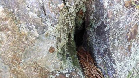 Webbwood Mine - Webbwood-Gold-Mine-(Shakesphere)4.jpg