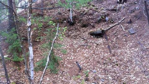 Webbwood Mine - Webbwood-Gold-Mine-(Shakesphere)5.jpg