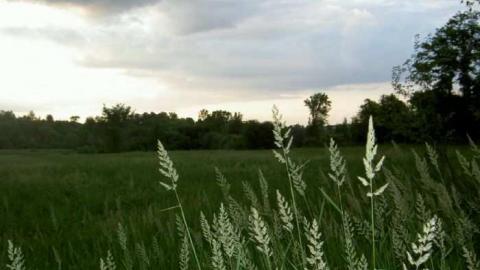 Vroom Vroom - Vroomanton-(ghost-town)12.jpg