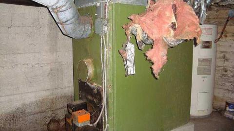 May 18th 2015 - DSC03882.jpg