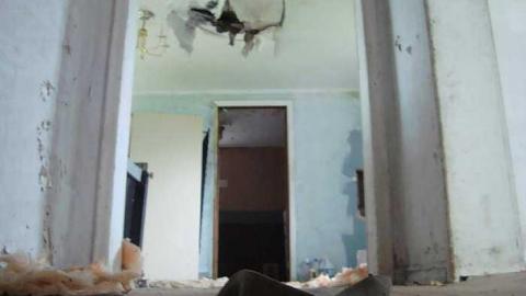 May 18th 2015 - DSC03884.jpg