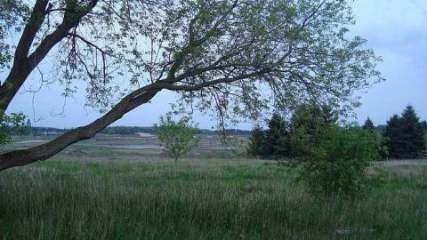 May 18th 2015 - DSC03895.jpg