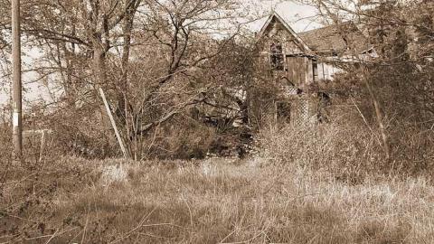 Inside Out - Absorbed44.jpg